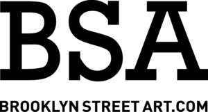 BSA-LOGO-BLACK-2013
